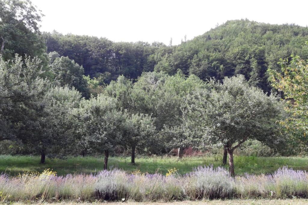 Gite "Entre Champsaur Et Valgodemard" Saint-Jacques-en-Valgodemard Exterior foto